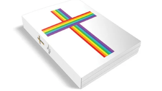 gay-proofing-the-bible-1413320853059.jpeg