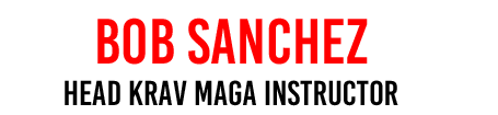Bob-Sanchez-head-krav-instructor.gif