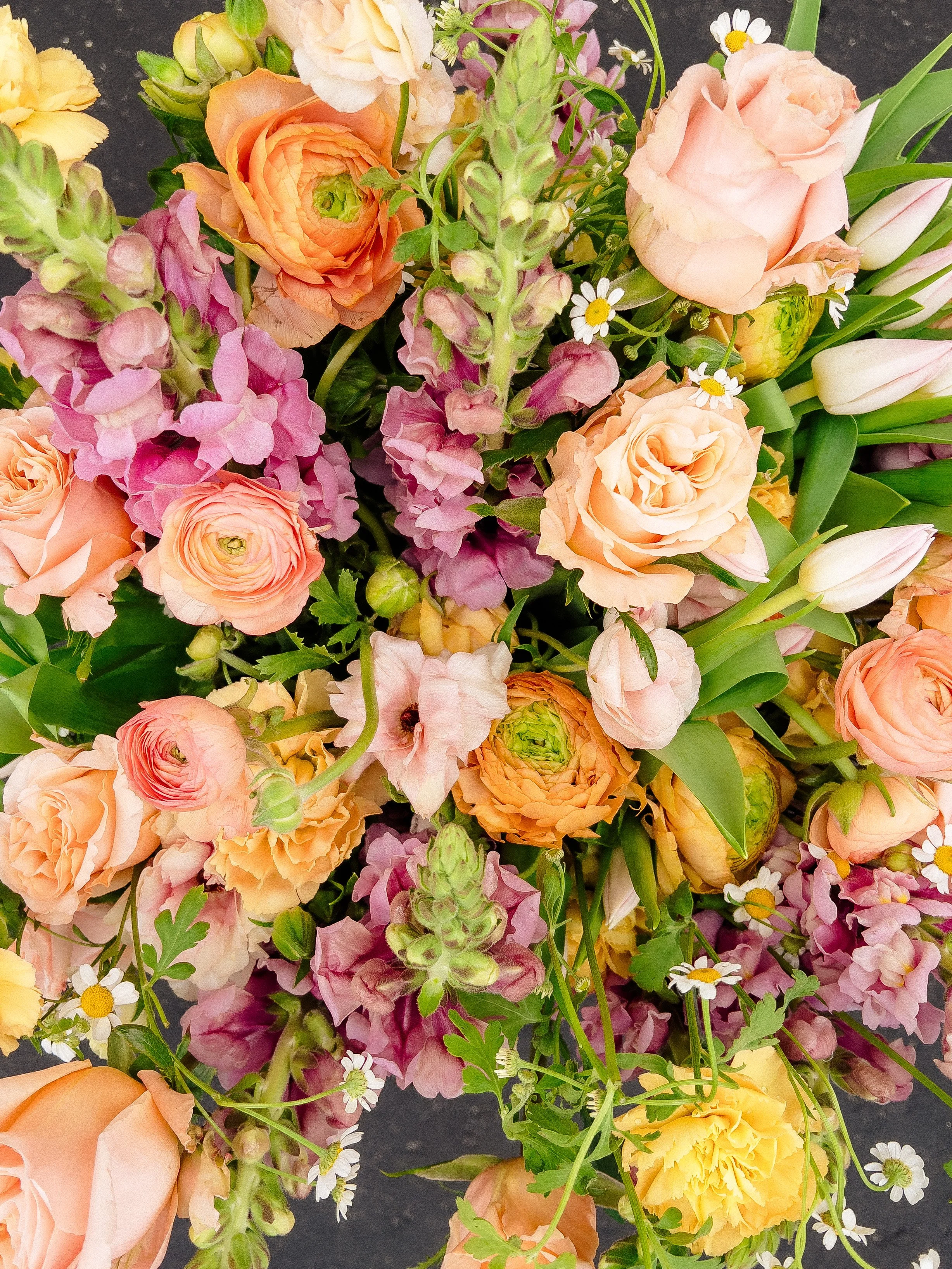 Phone Photography Class [Feb 10th 10am-11:30am]