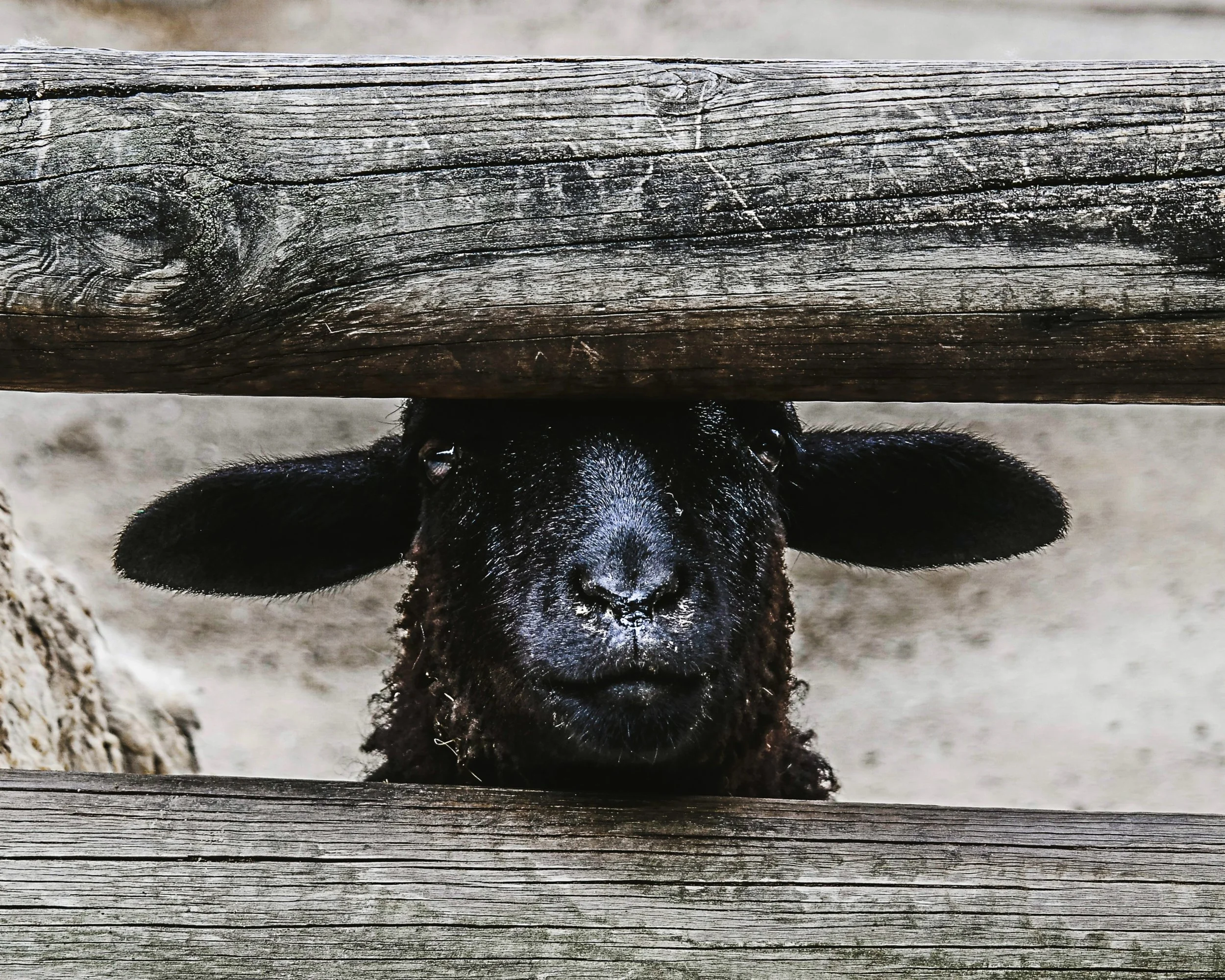 jose-francisco-morales-605857-unsplash.jpg