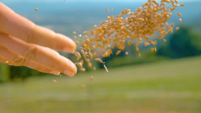 Luke 13:10-21 "Little By Little Changes Everything" 