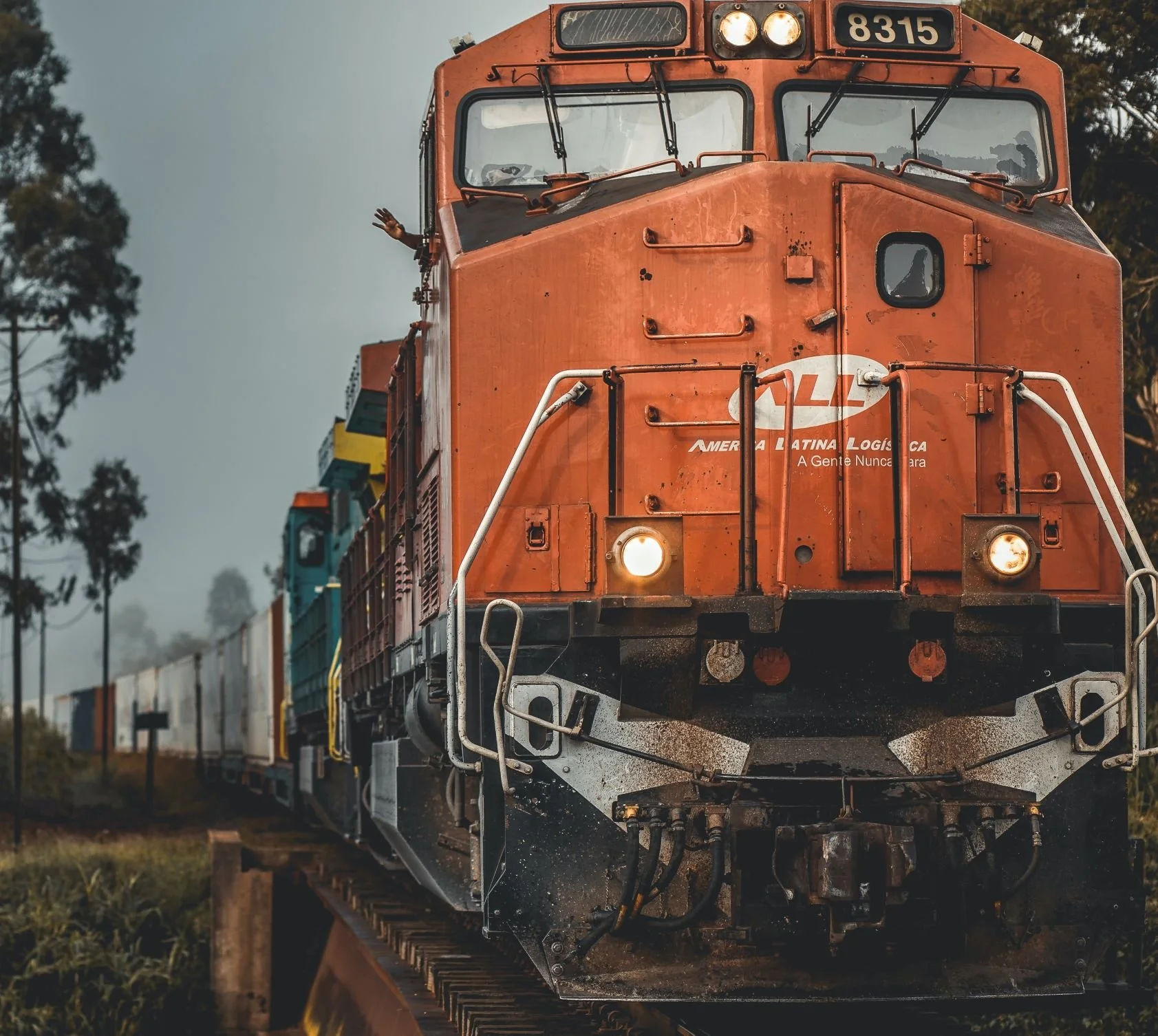 Luke 20:9-18 "The Vineyard"