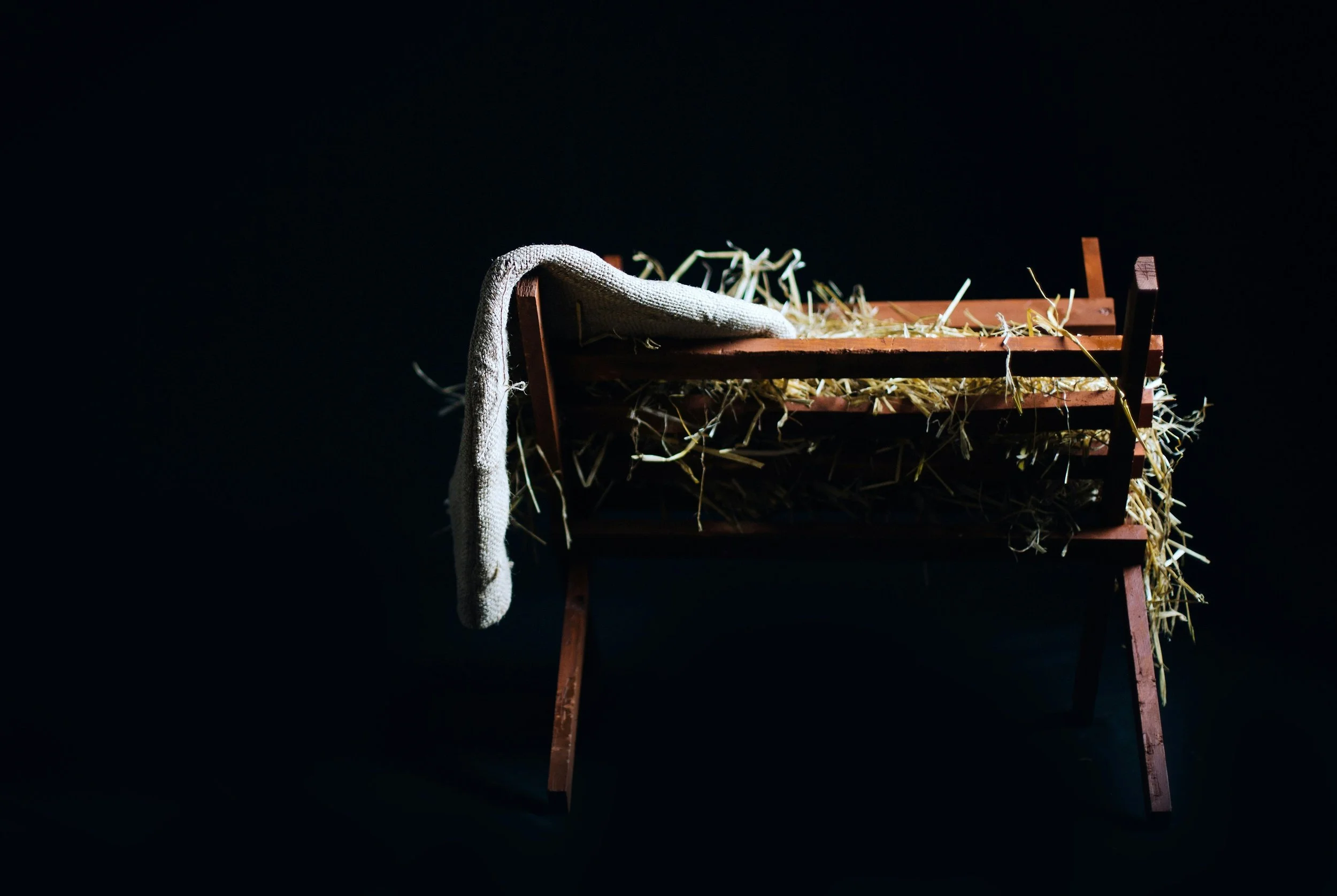 "Find Your Christmas Spot"