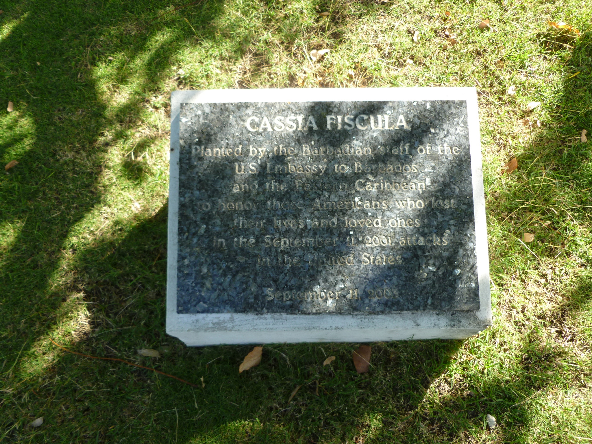 Memorial Trees - Bridgetown, Saint Michel