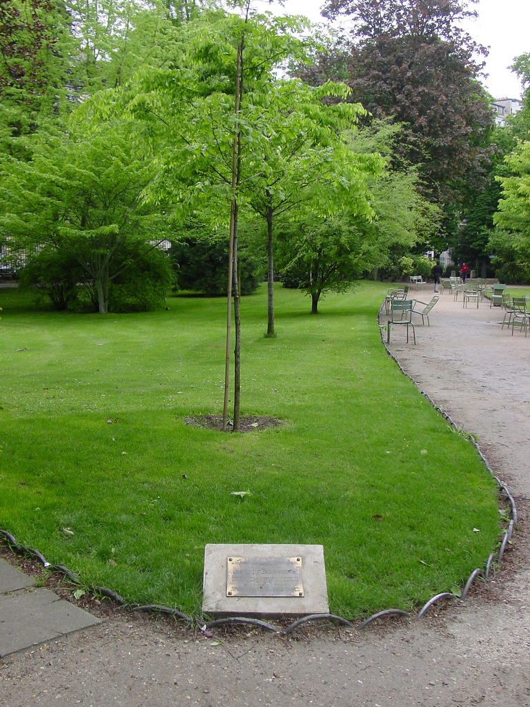 paris oak 5.jpg