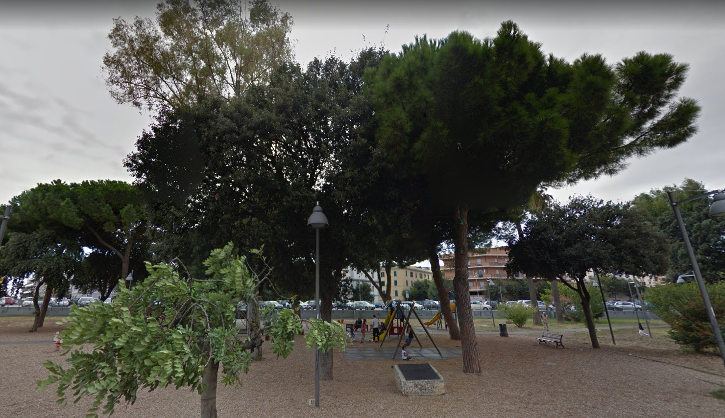 Memorial Trees- Rome, Italy