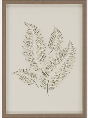 Fern 2 Wall Art.JPG