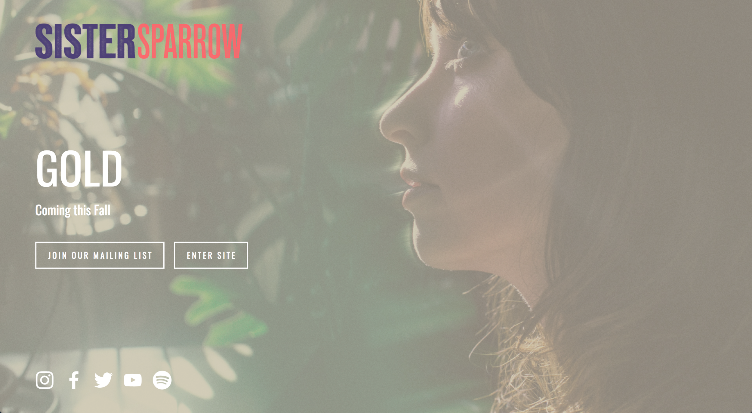 WEB DESIGN - SISTERSPARROW.COM