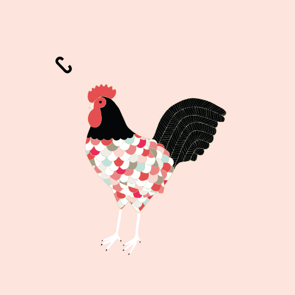 ANIMATION & DESIGN