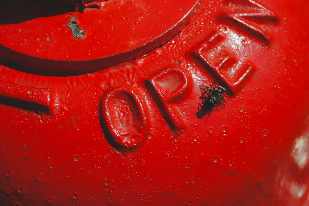 MACRO | Fire Hydrant
