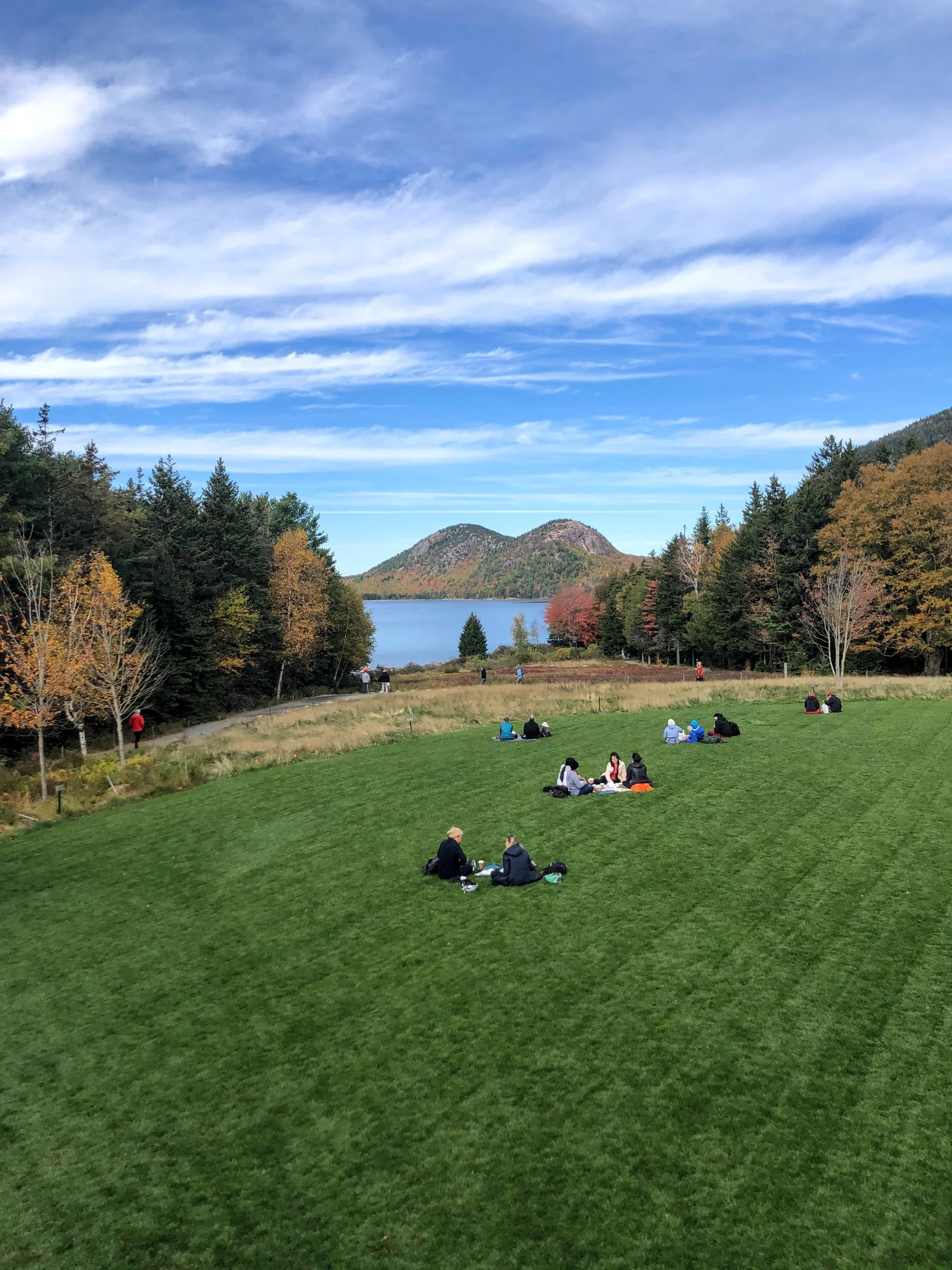 My Top Restaurant Picks for Takeaway Picnics