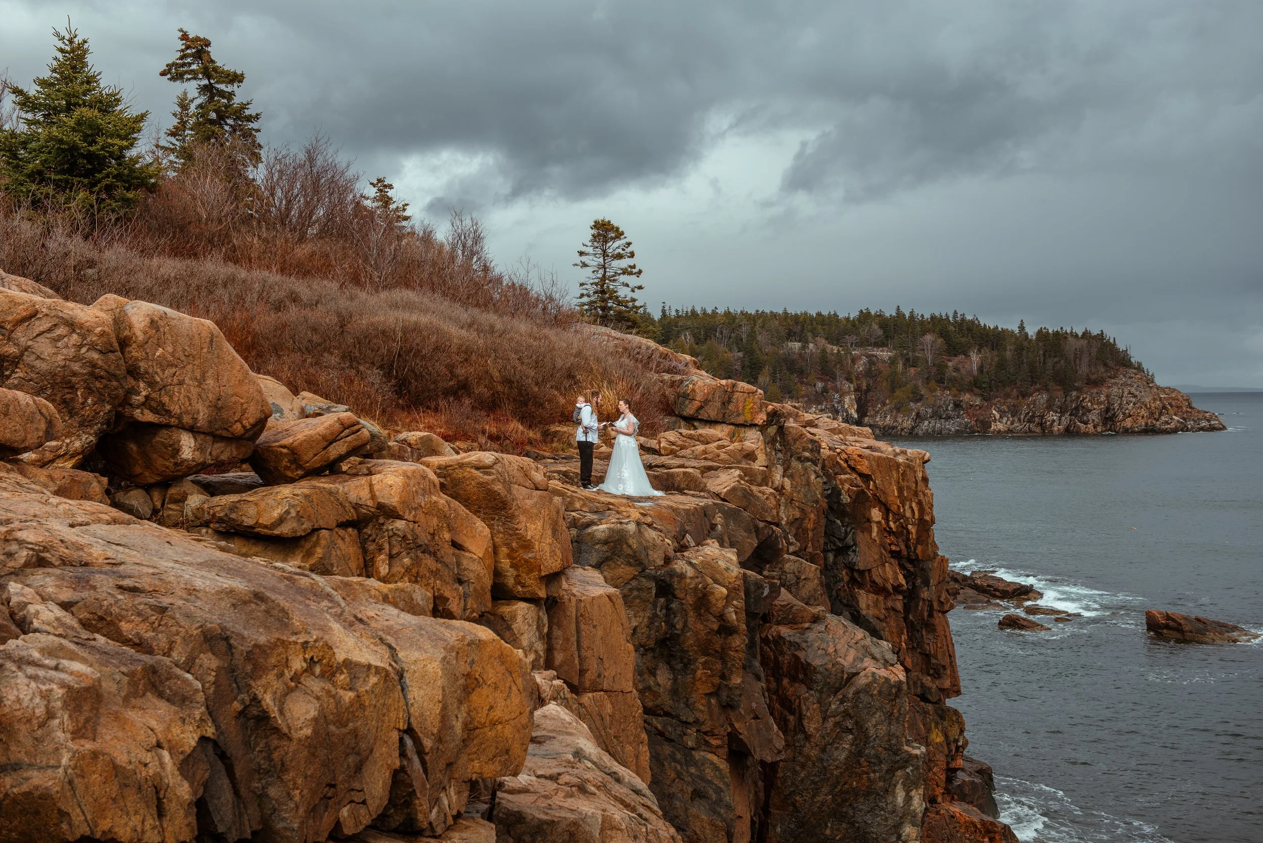 DSC_2647.jpg