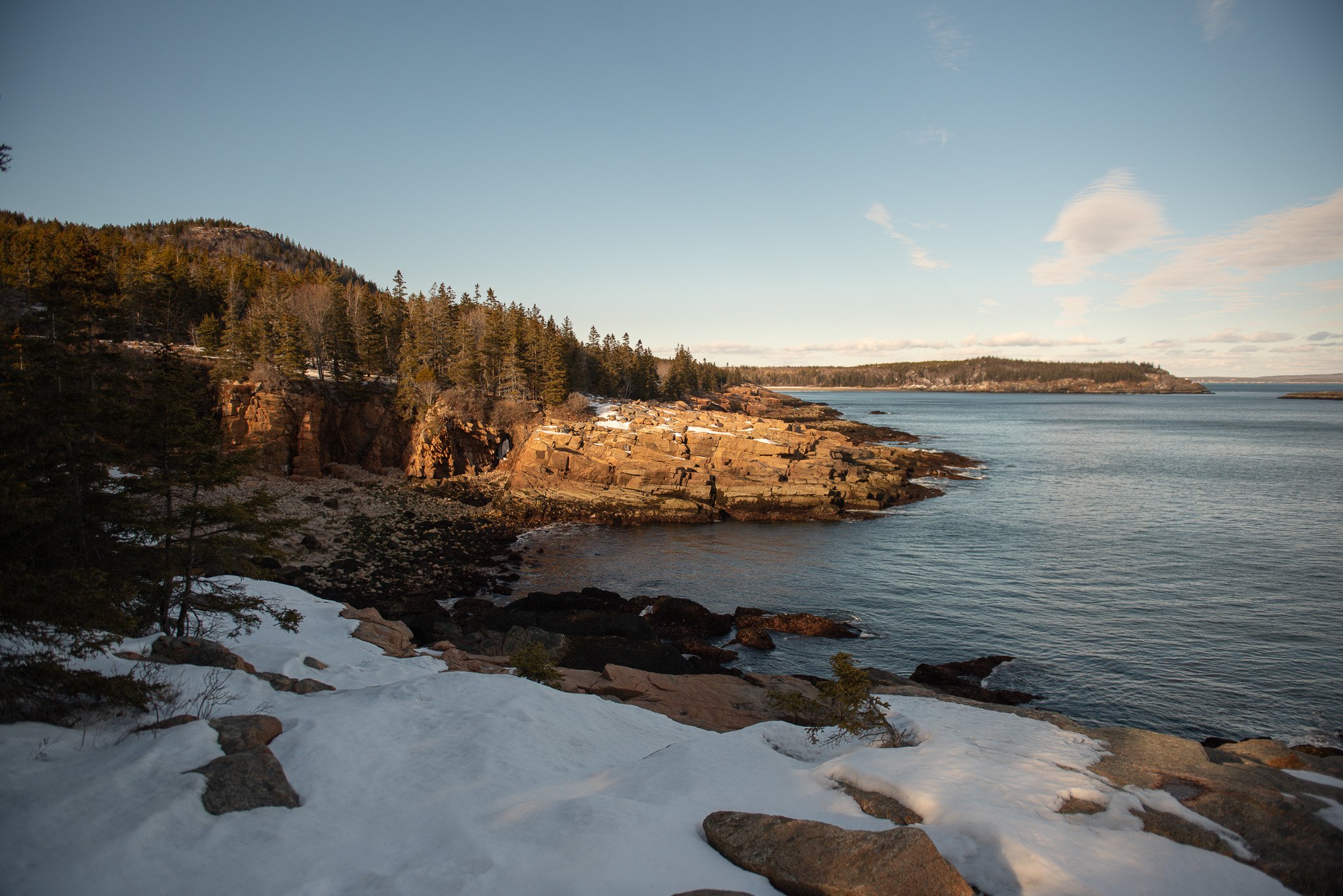DSC_0601.jpg