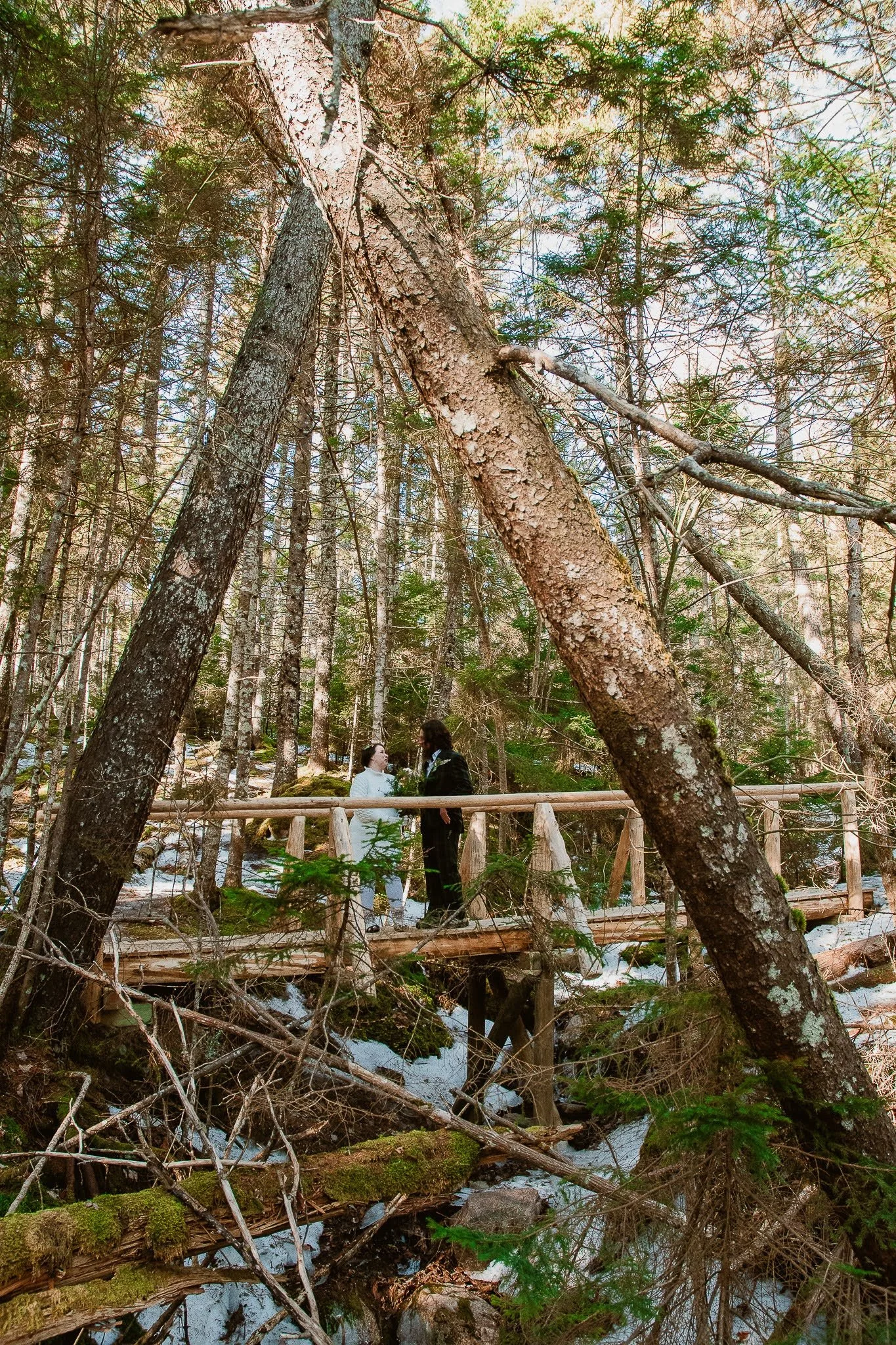 DSC_1367.jpg