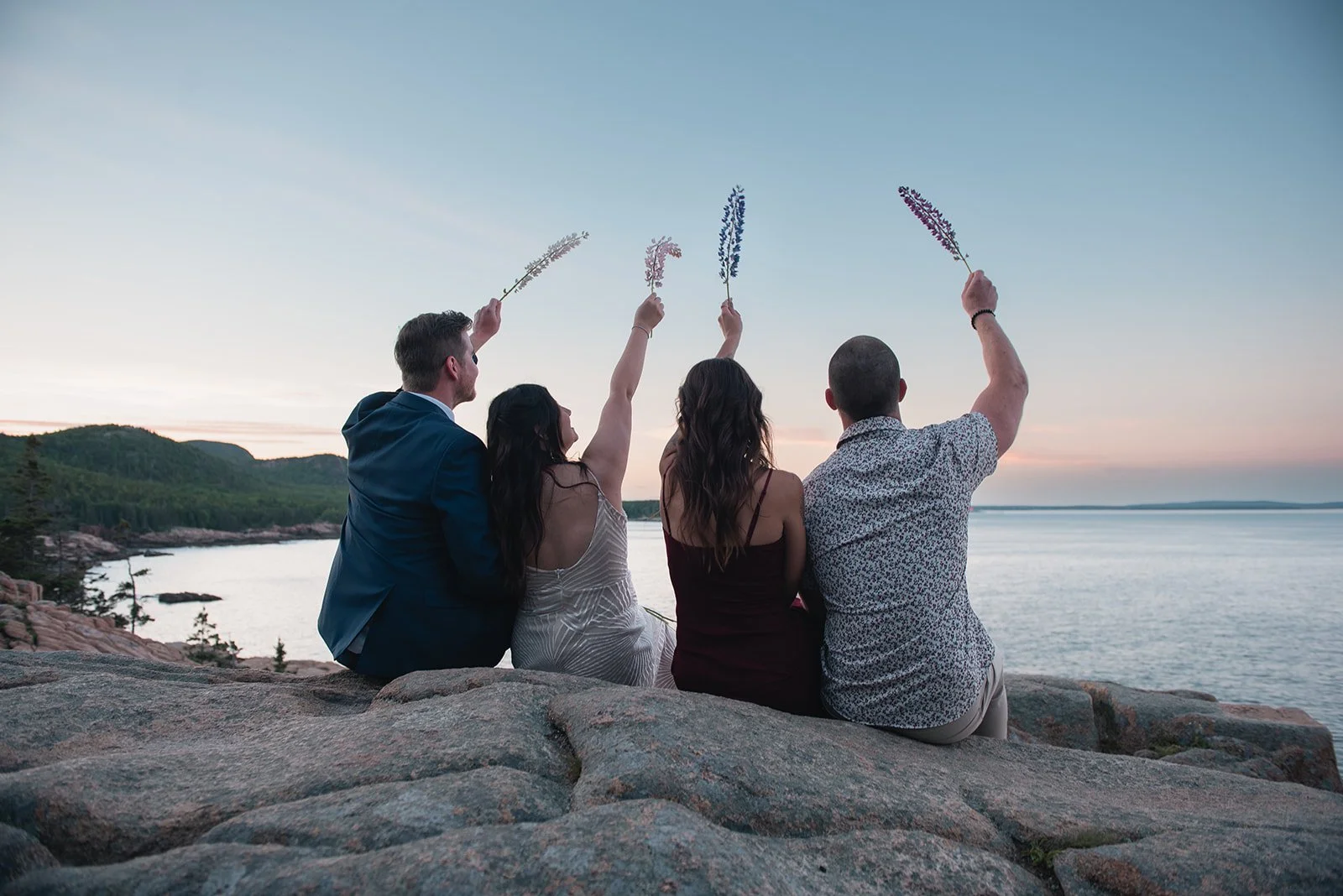 lupine elopement on otter cliff acadia