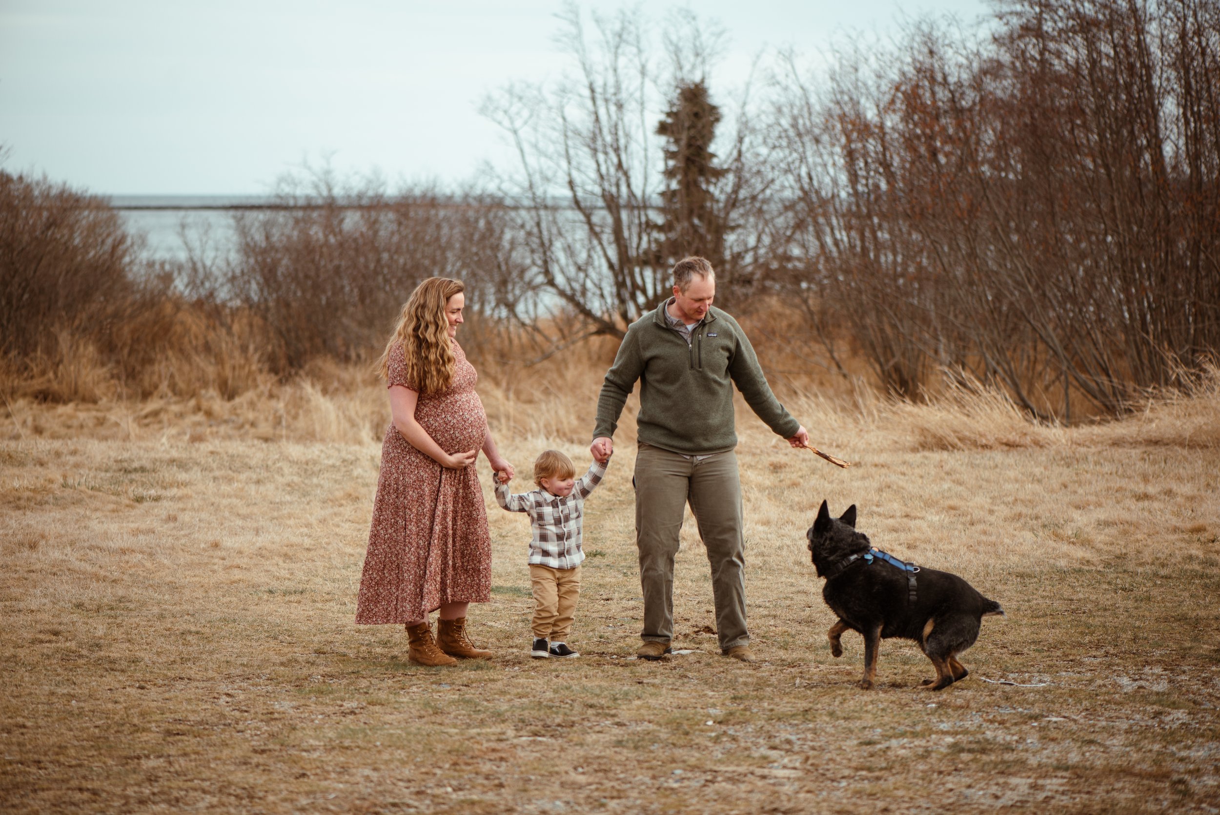 A family of four walking their dog in a field during fall, with leafless trees in the background.