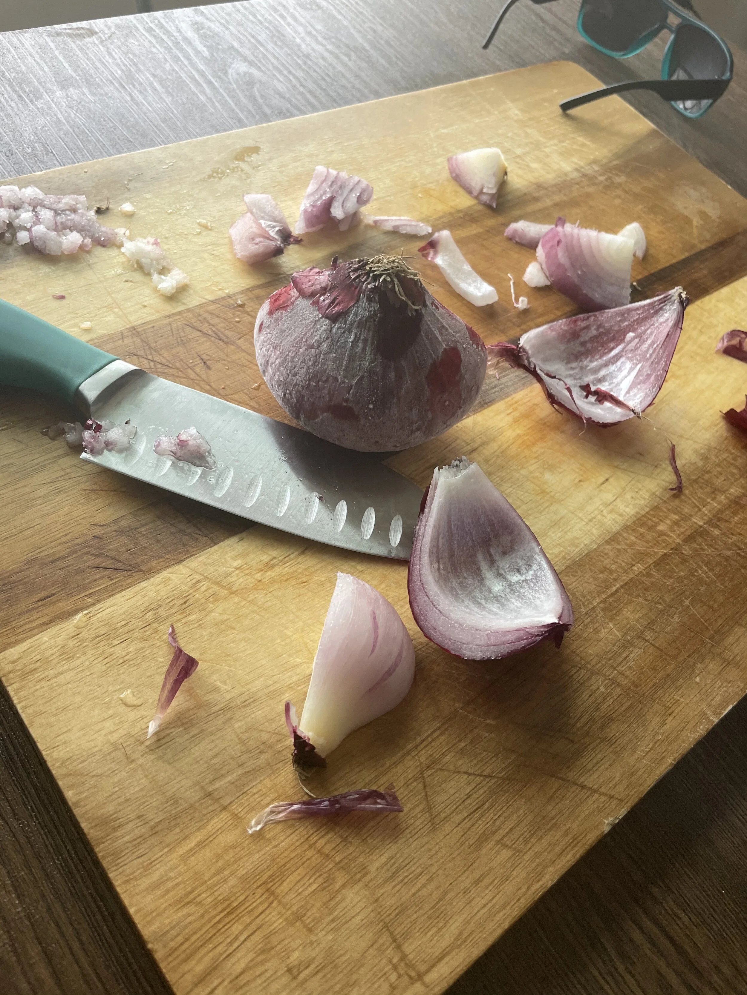Inside Caleb's Mind: Onion Experiment