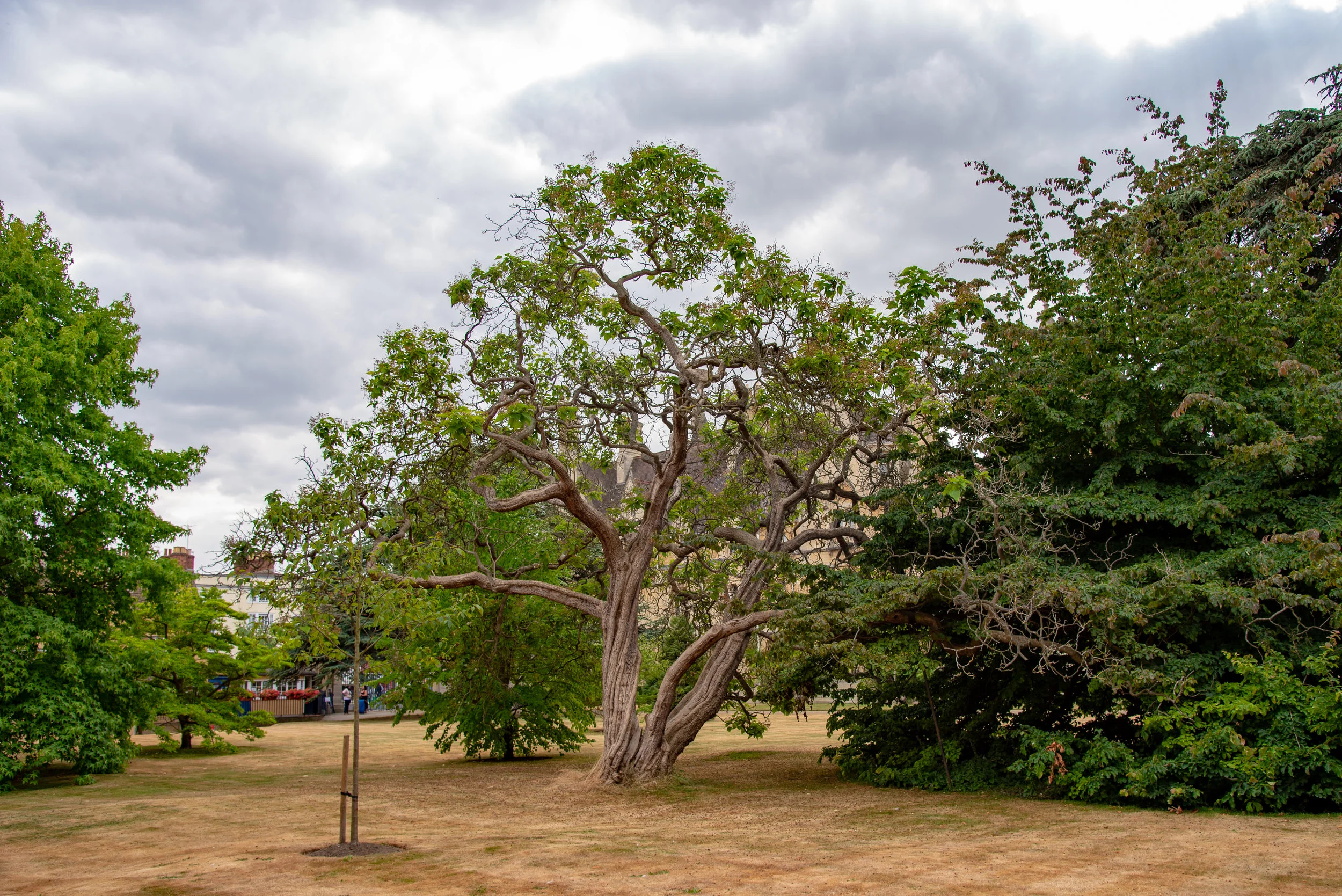 DSC_2620.jpg