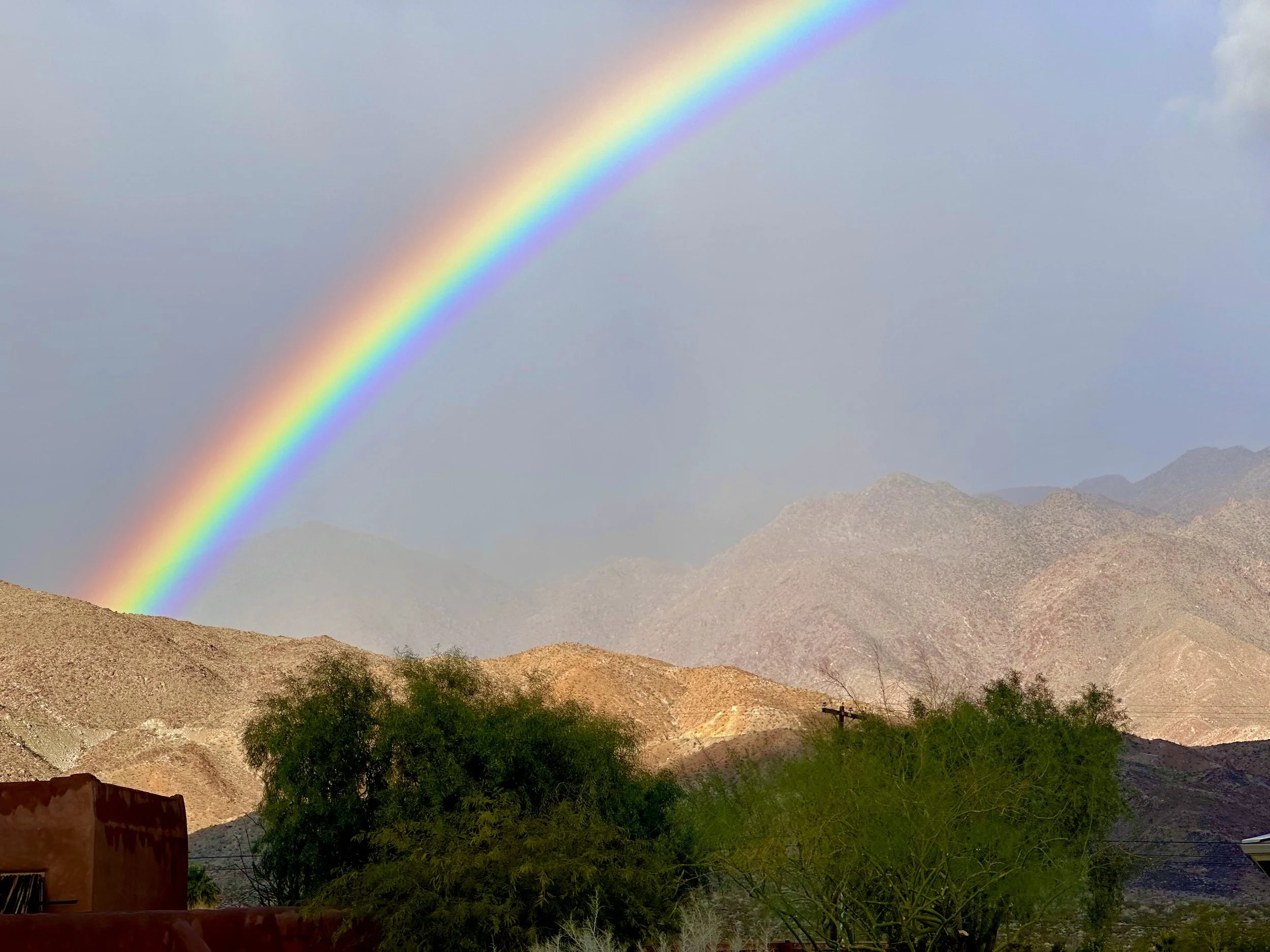 Rainbow.jpeg