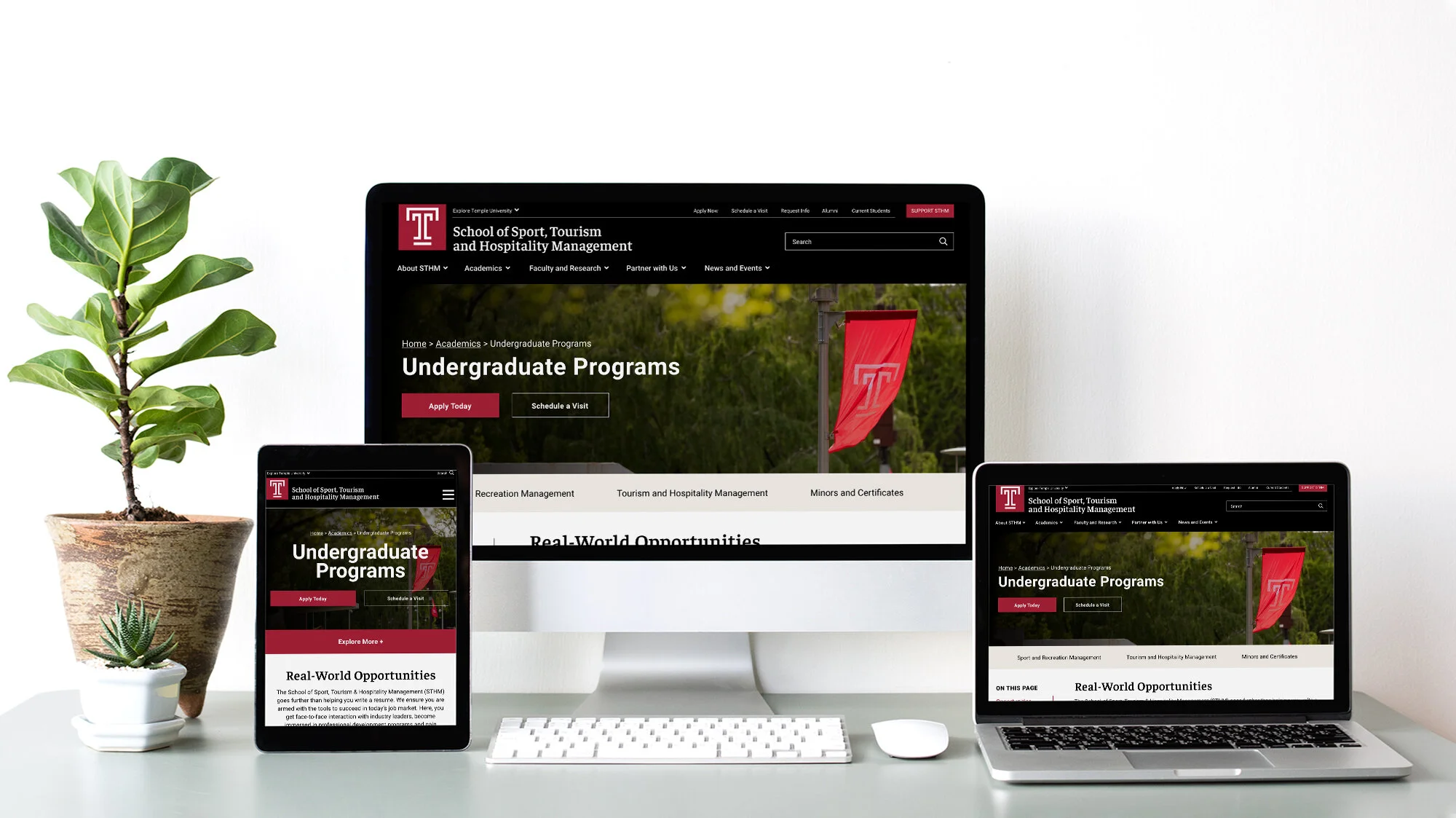 desktop-laptop-tablet-sthm-website.jpg