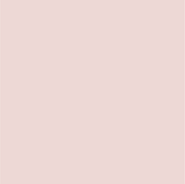 Background Color-03.jpg