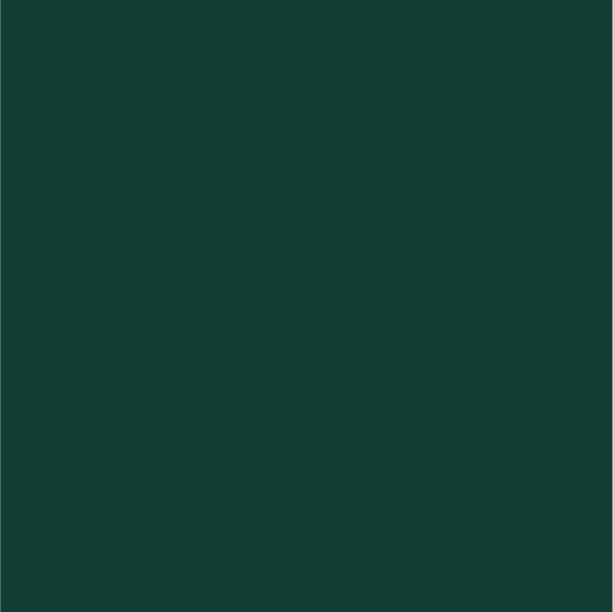 Background Color-04.jpg
