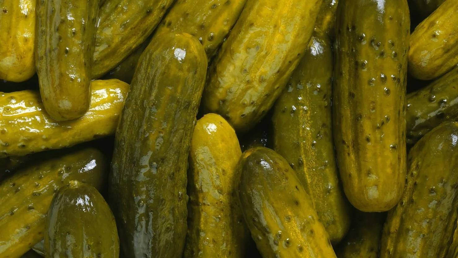 Kosher Pickles
