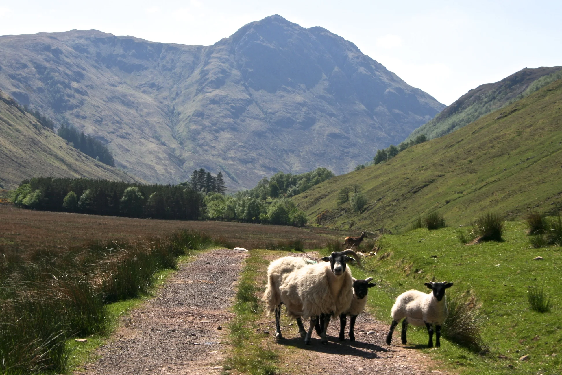 Our Top Tips to Hike the Cape Wrath Trail Fast and Cheap