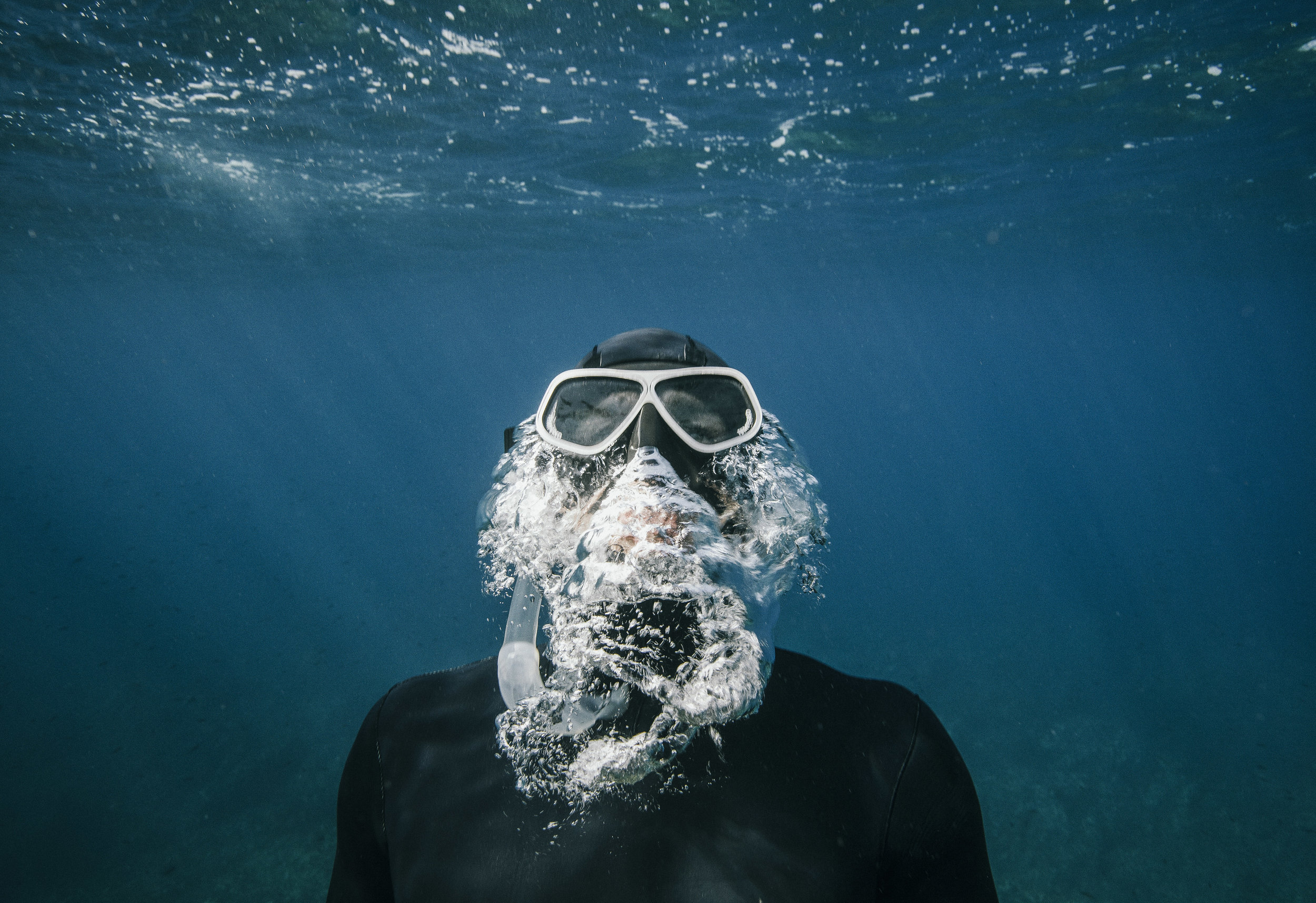 Exquisite Dive Destinations: Unveiling Earth's Underwater Marvels