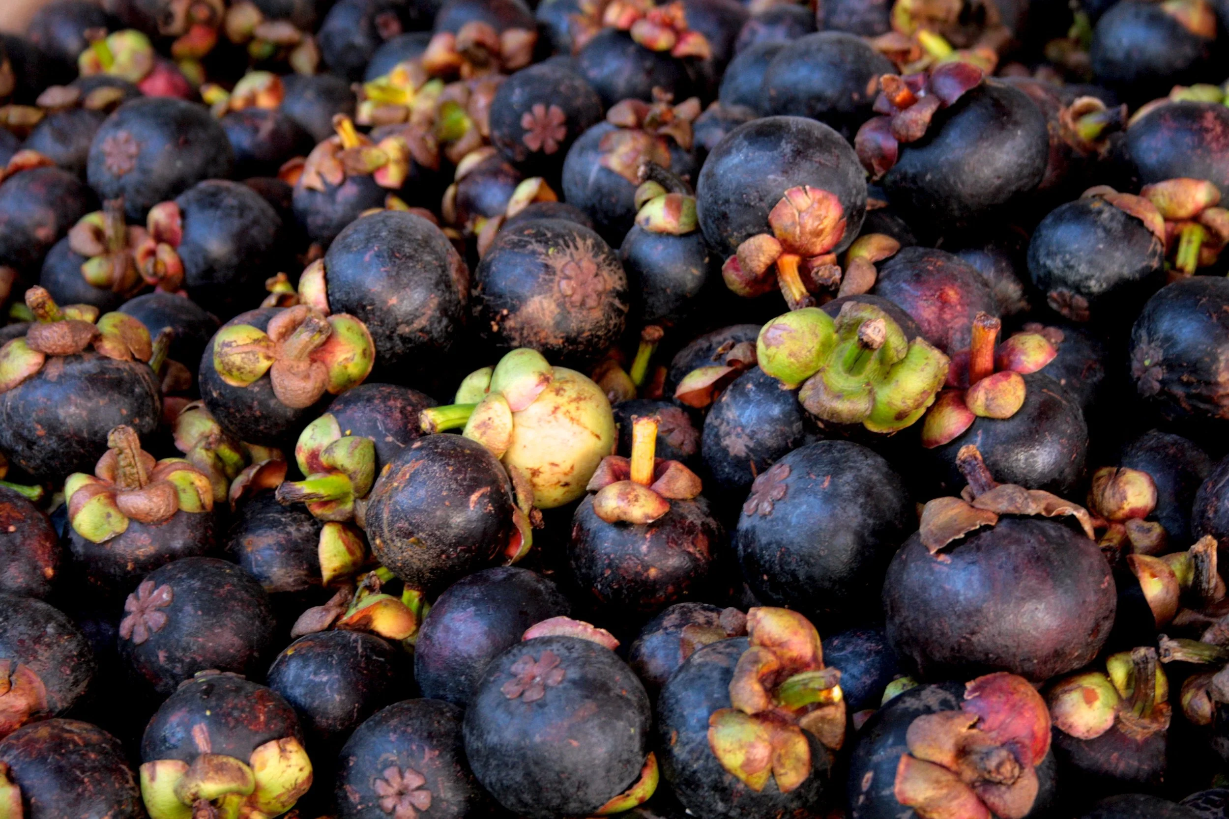 What Things Cost in the Philippines