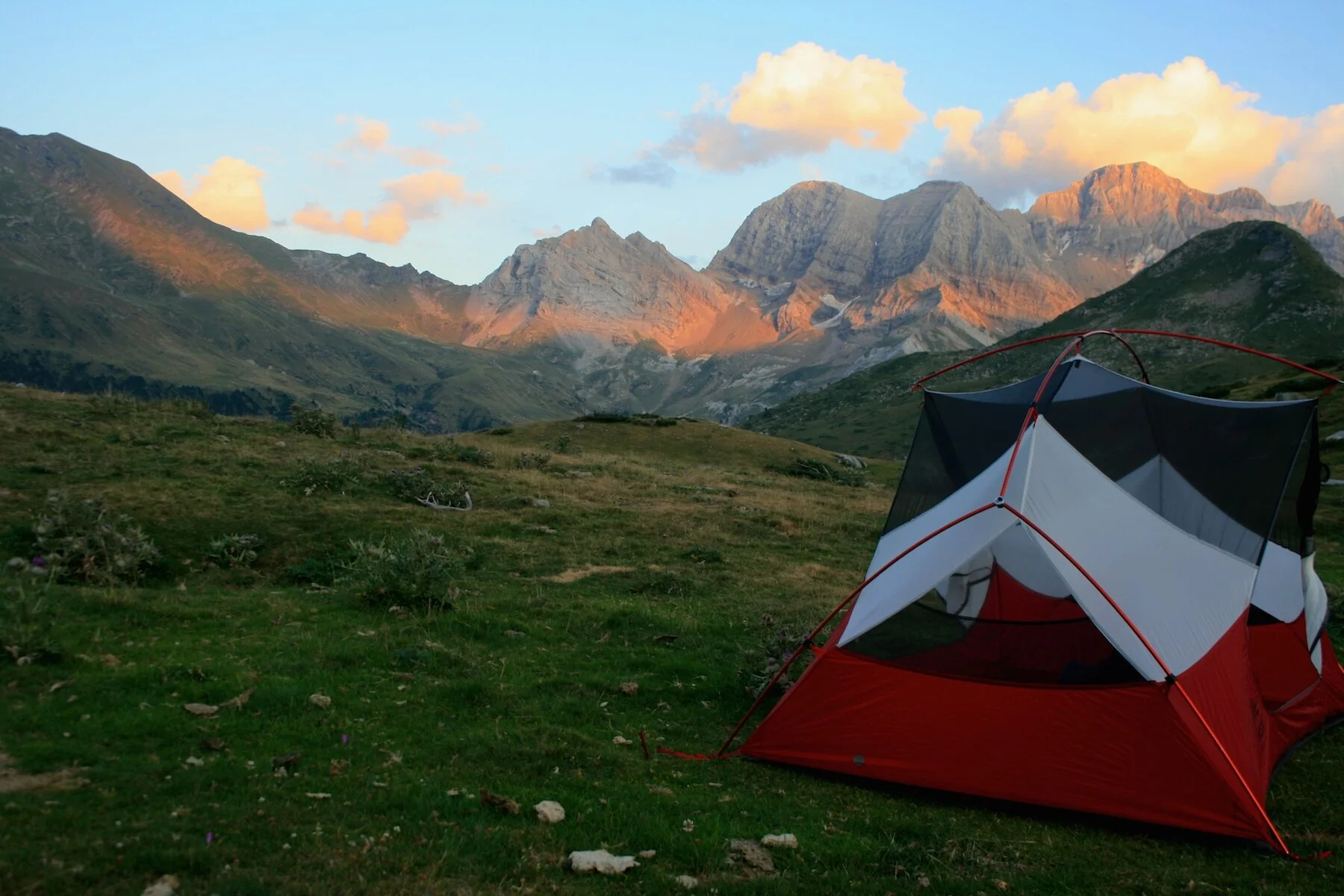 August 2019: Cows, Cheese, and Job Offers