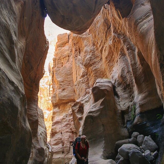 Rocks in the sky .
.
.

#eastwardbounds #jordan #traveljordan #jordantourism #adventure #naturalwonder #planetearth #prettyplaces #stayandwander #backpacking #visualsoflife #petra #finditliveit #instagood #letsgosomewhere #plants #garden #dirtbag #wa