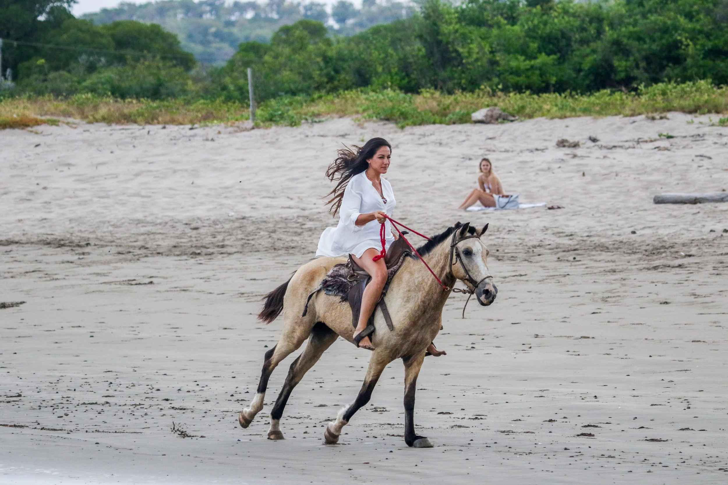 horsebackridingNSR_0102_Panga_Drops_Dec_31_2019_CC.JPG