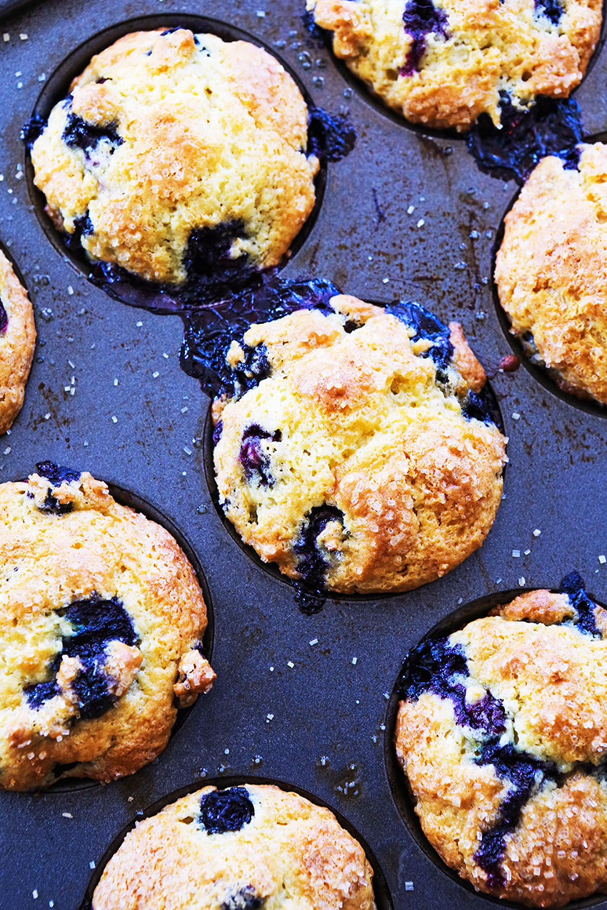 top view of blueberry muffins in pan