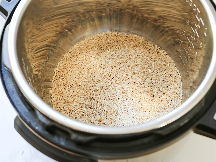 uncooked rice in the bottom of the instant pot