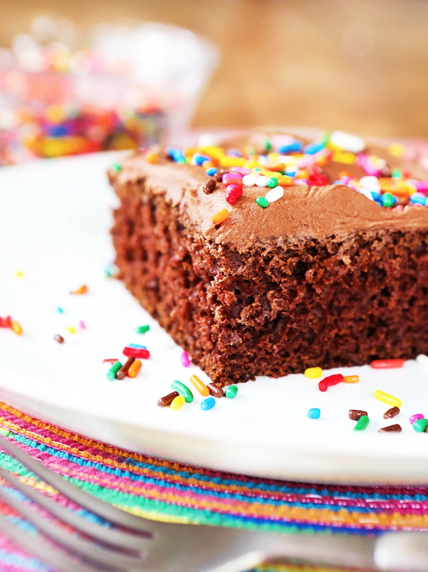 close up of a piece of chocolate cake with sprinkles sitting on a plate