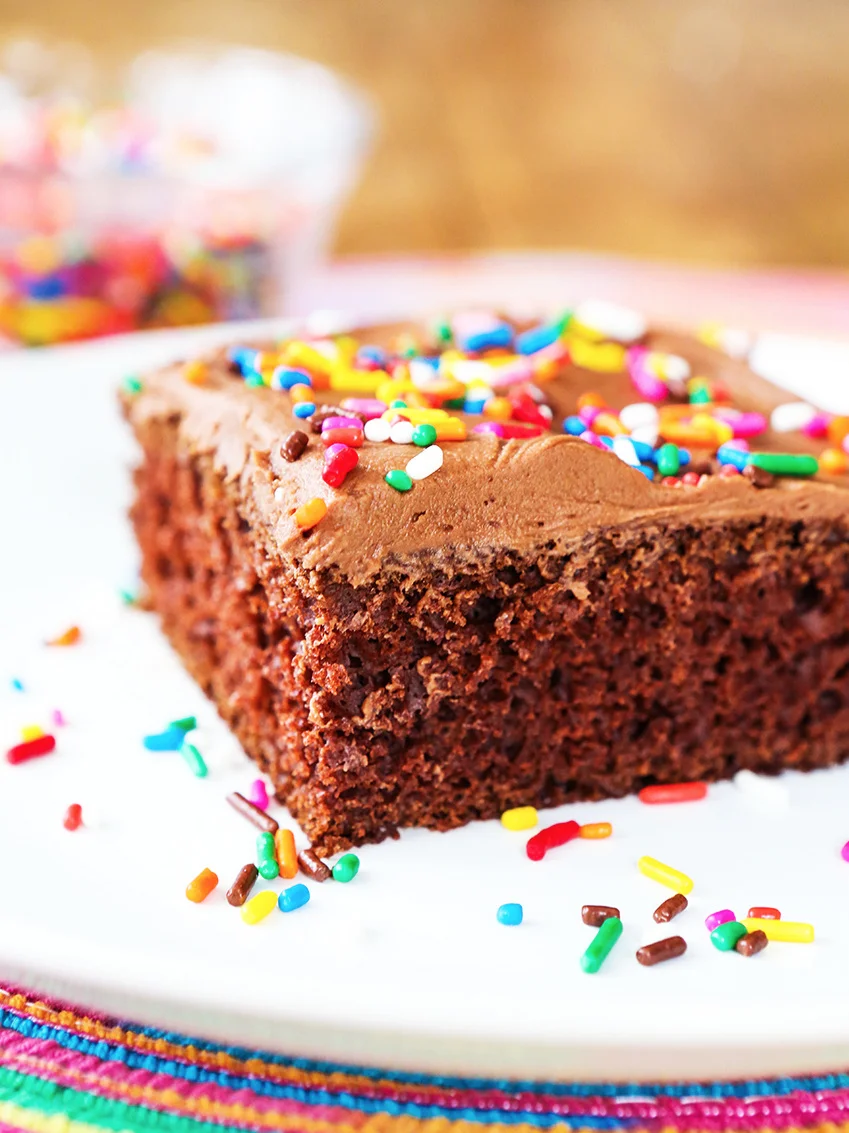 piece of chocolate cake with sprinkles on a white plate