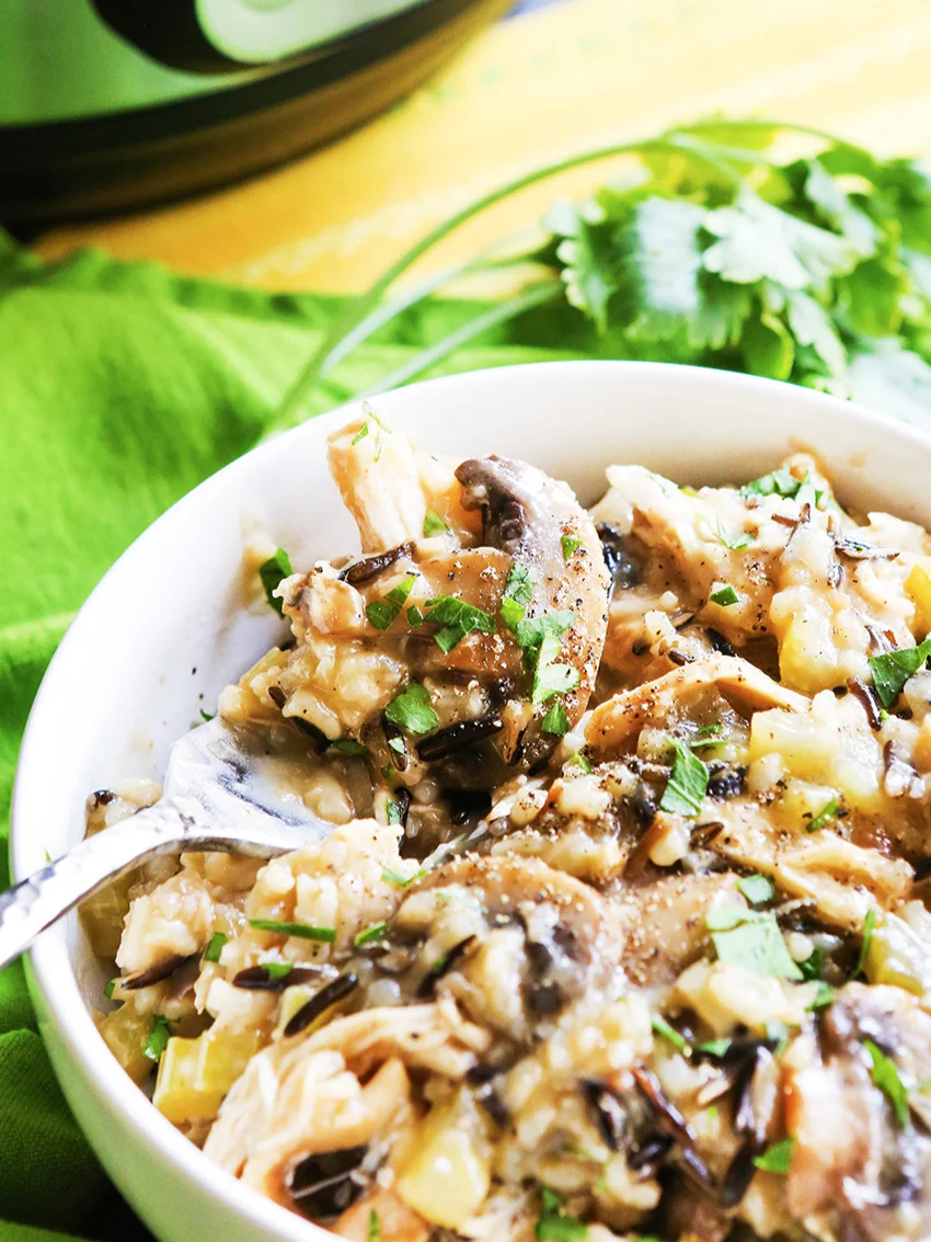 bowl with fork sticking into it containing creamy chicken and mushrooms and rice