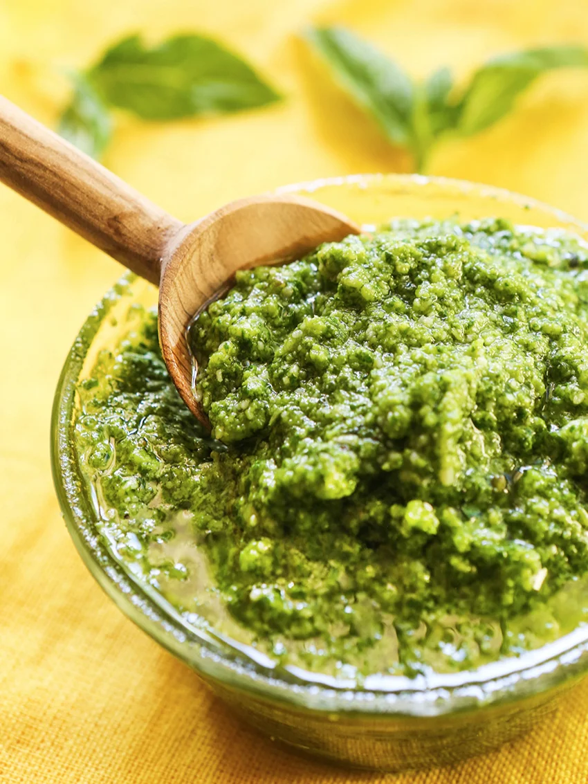 Are Dogs Allergic To Pesto Sauce