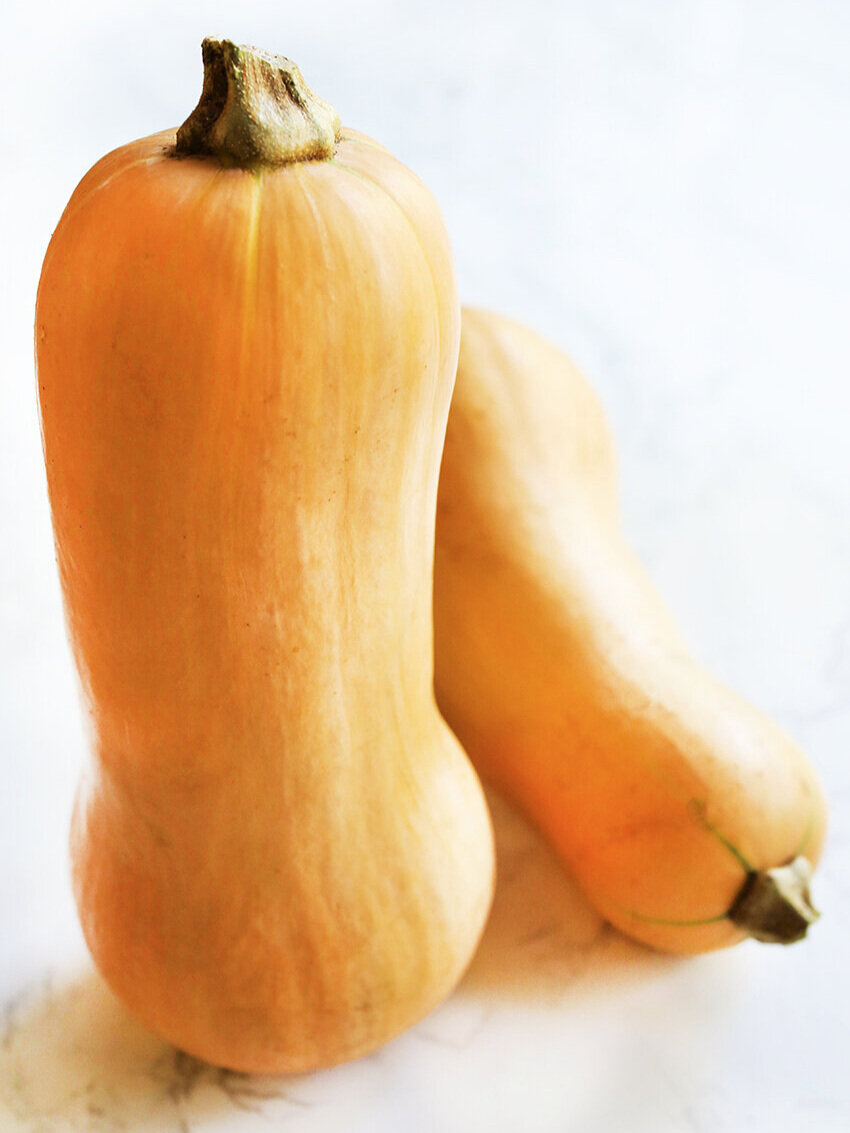 Two butternut squash standing upright. 