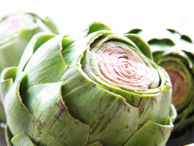 close up of an artichoke with tops cut and stems trimmed 