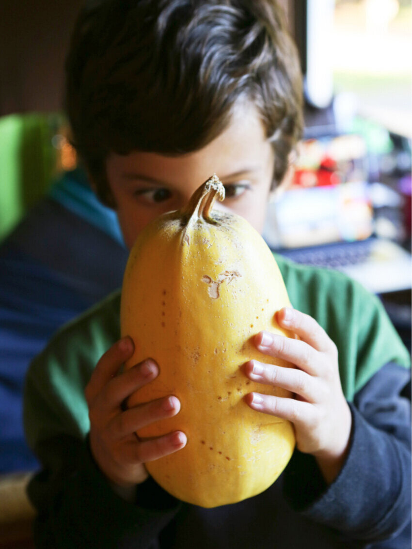  cute boy holding and staring at a spaghetti squash 