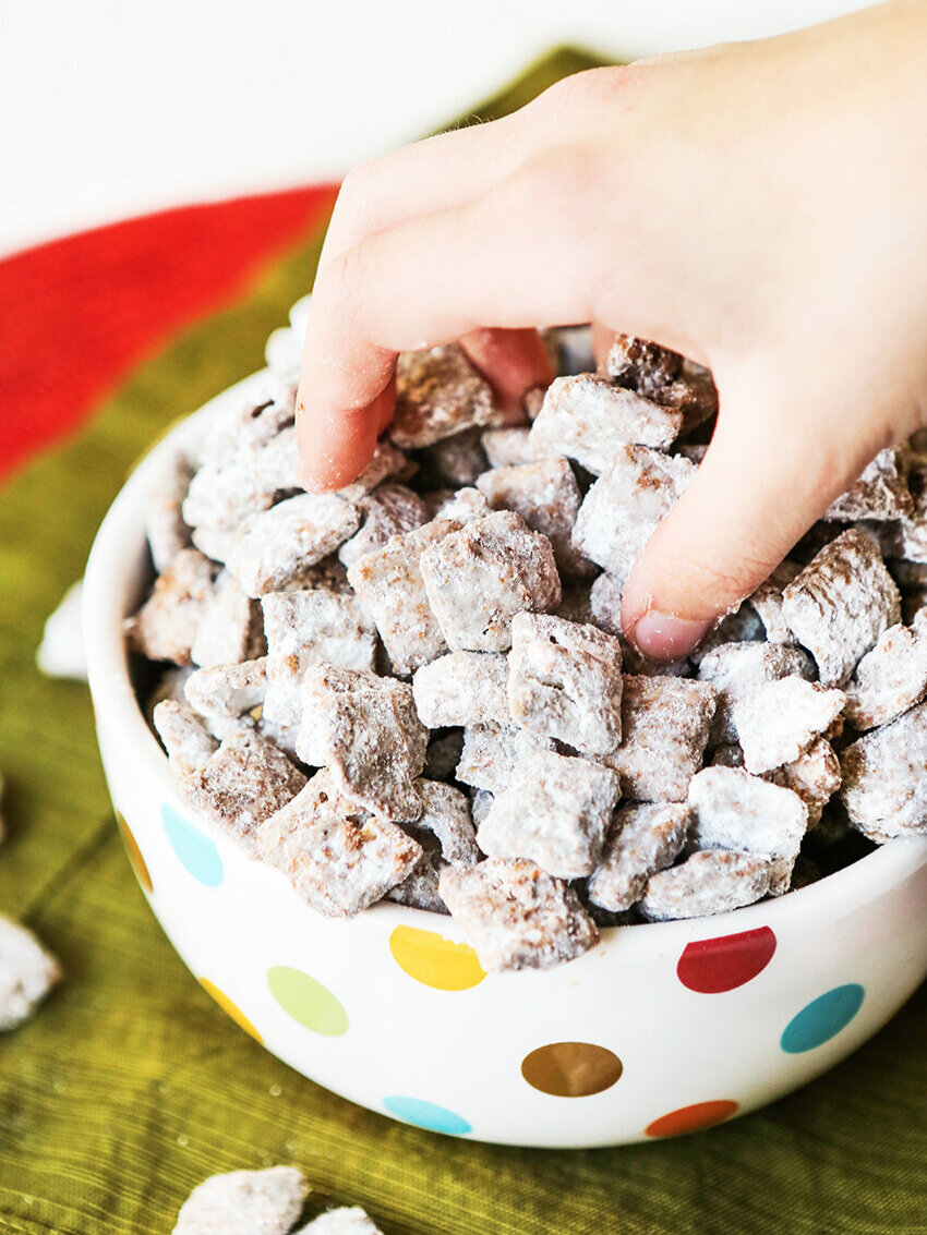 Hand reaching into a bowl of puppy chow