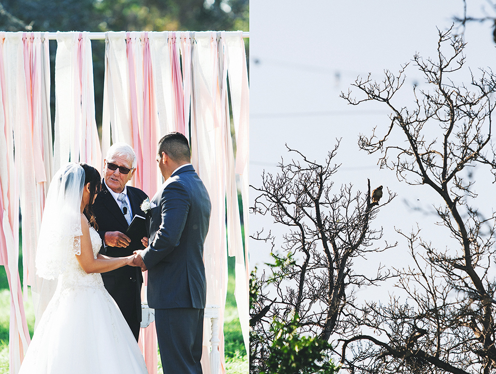 gracie_cesar_wedding_-55.jpg