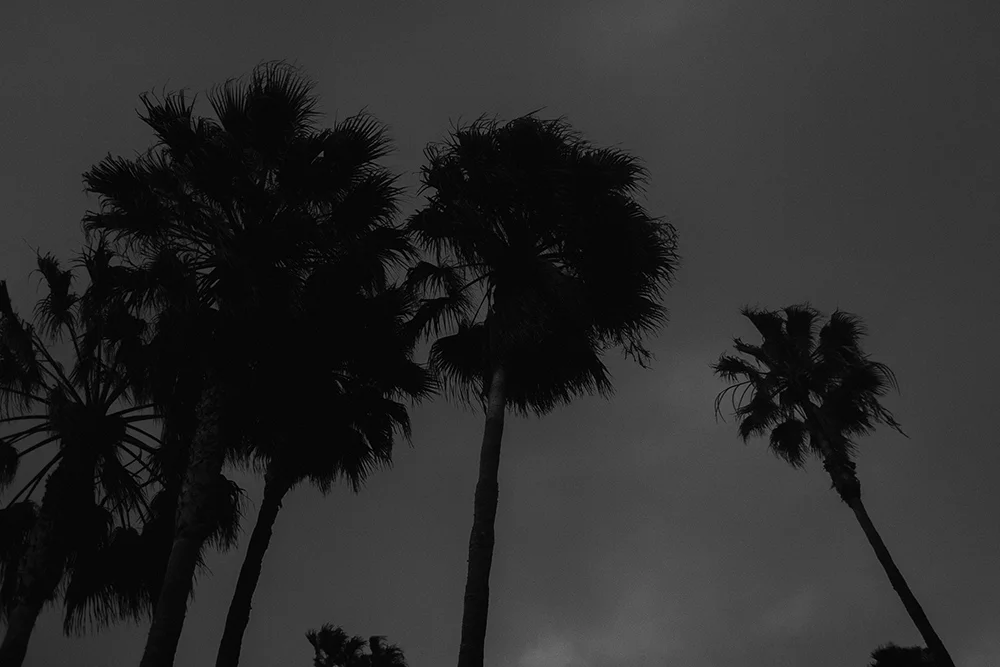 anahi_gustavo_engagement_-00 (46).jpg