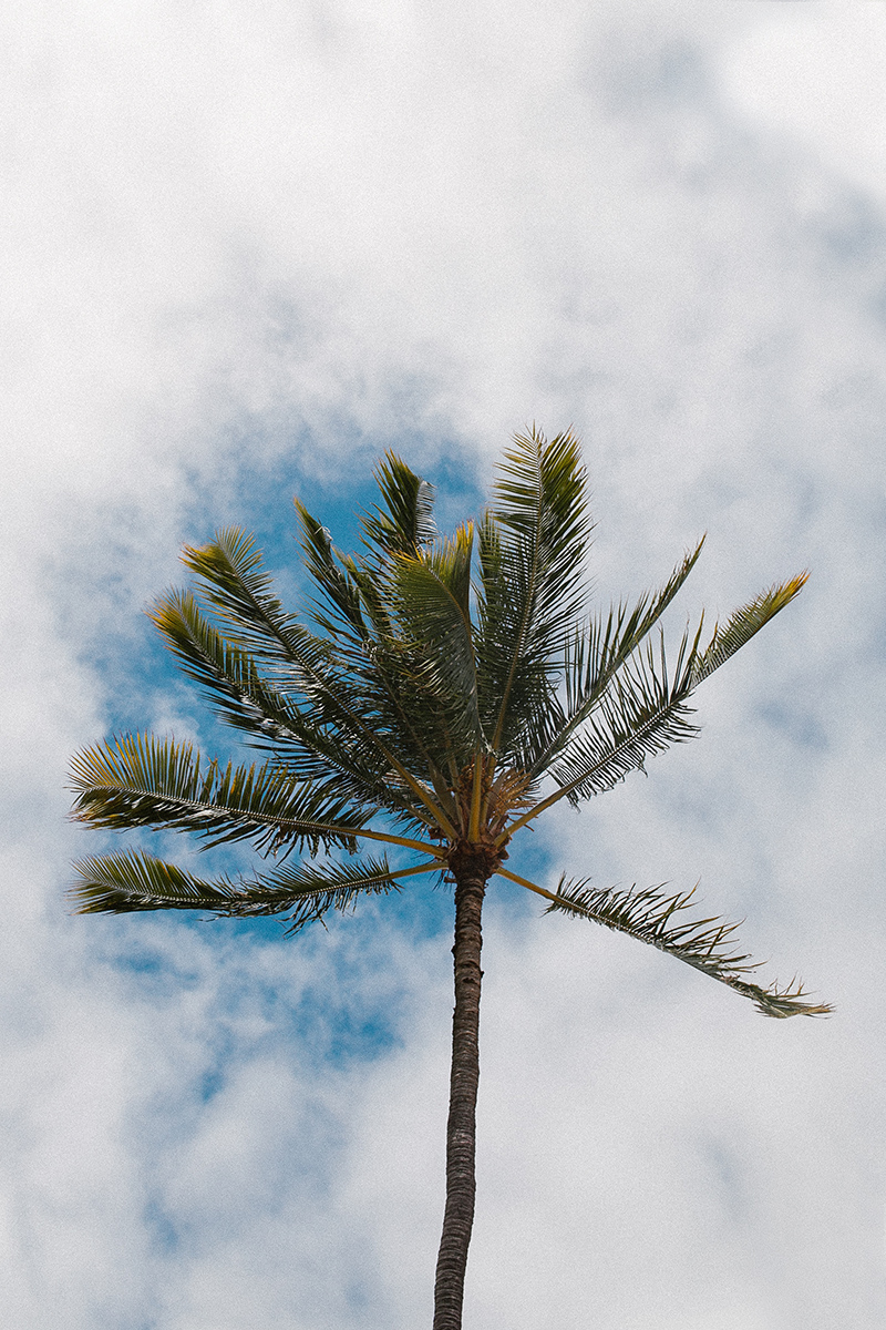 hawaii_-3.jpg