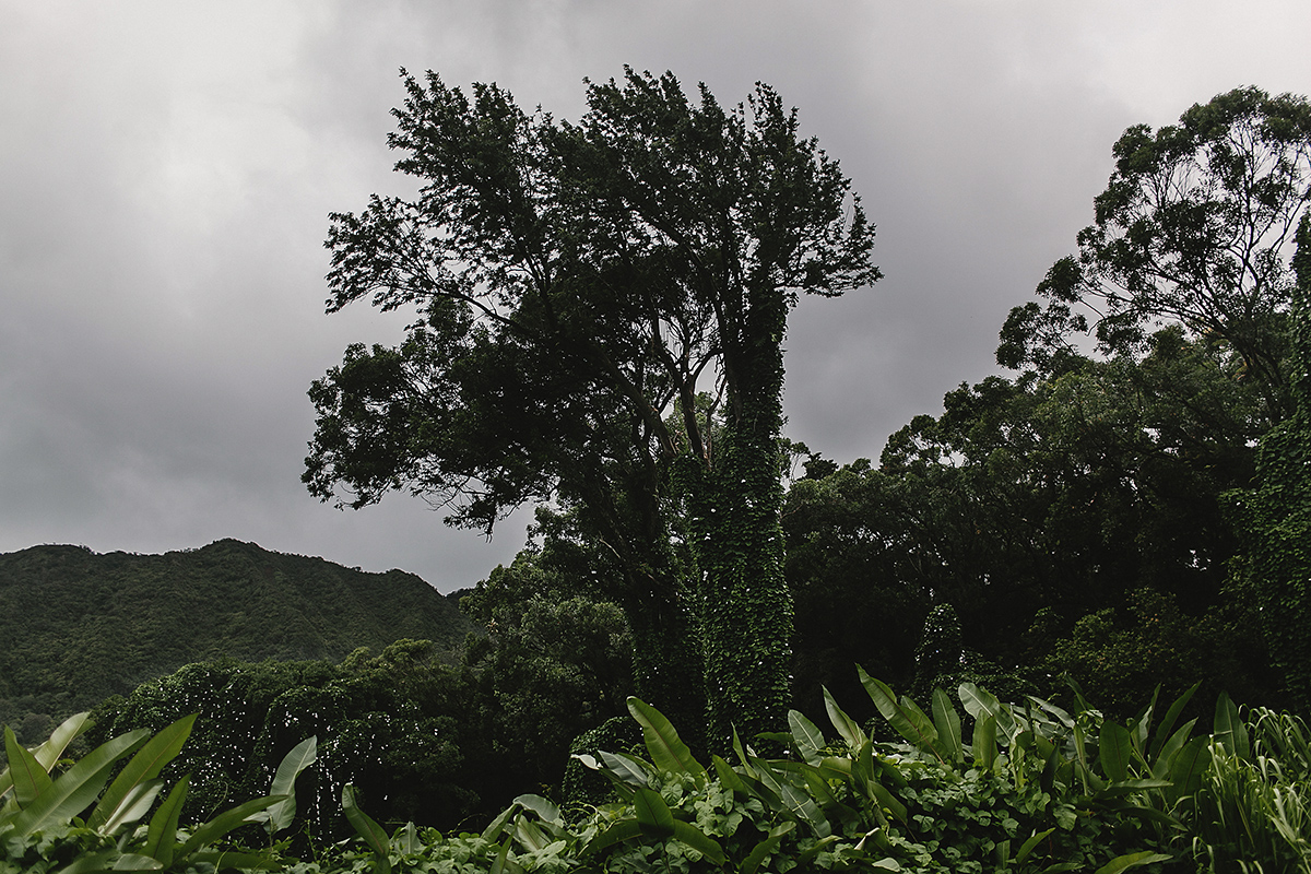 hawaii_-68.jpg