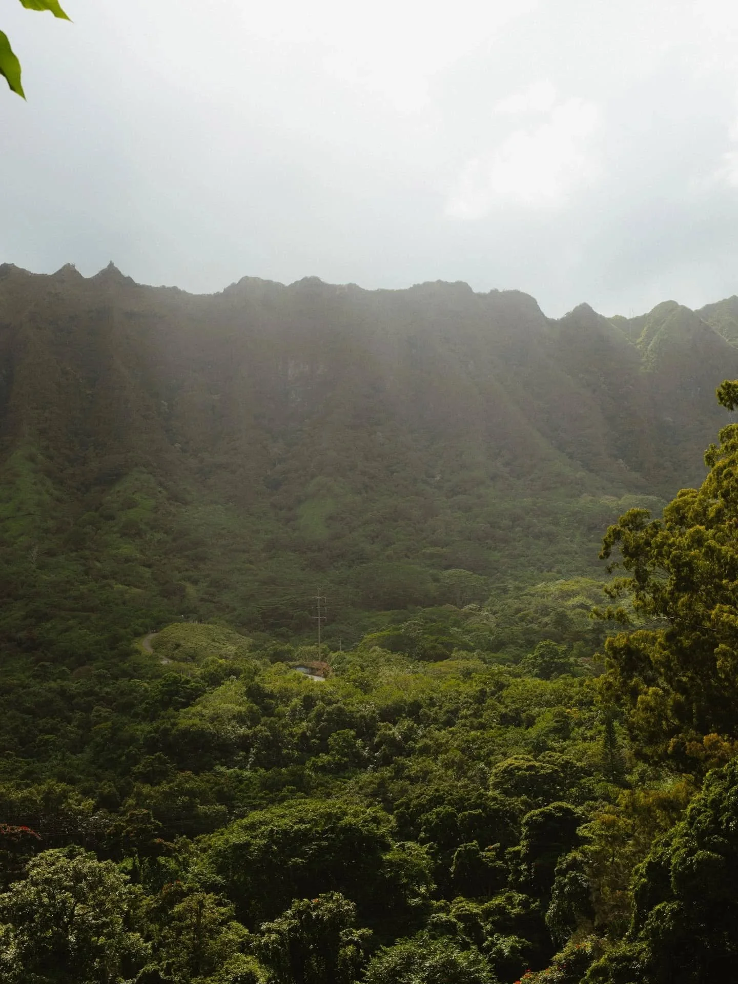 Colors of Hawaii