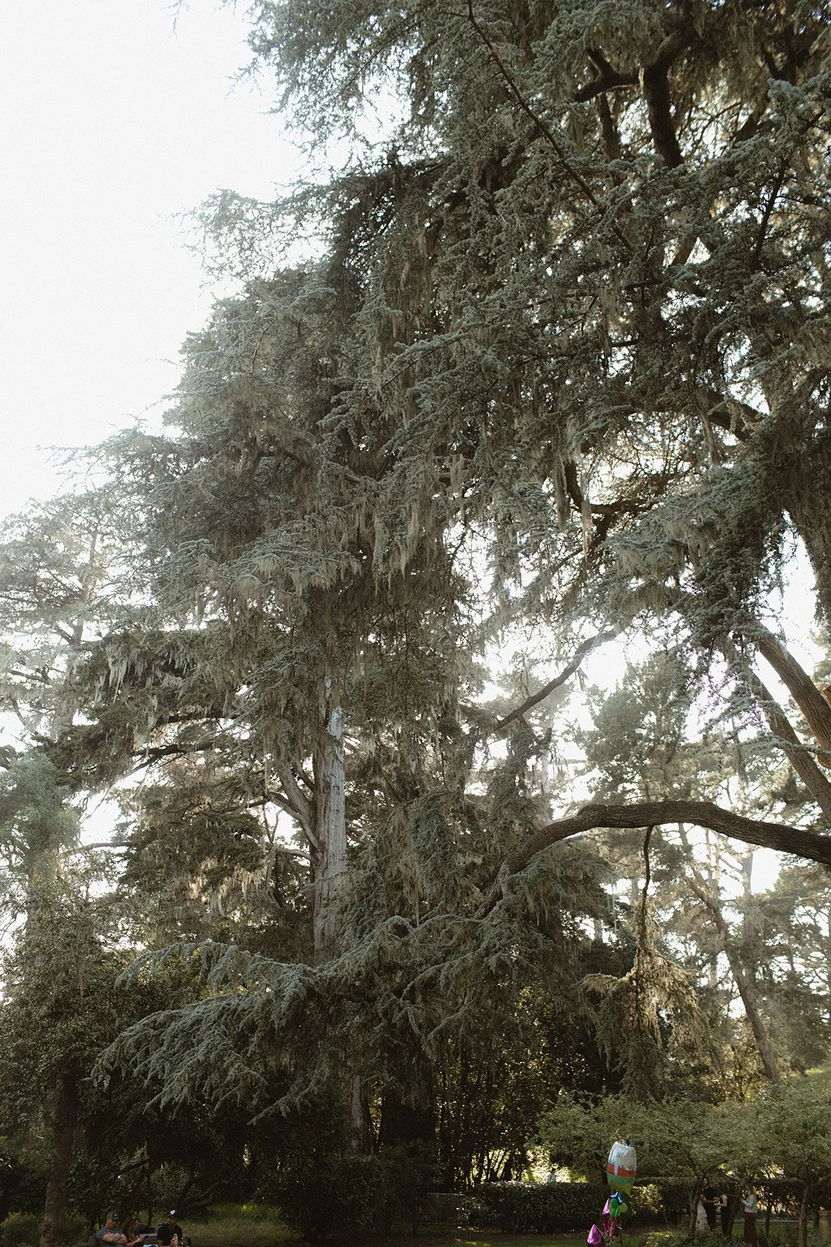 j_v_r_-014.JPG