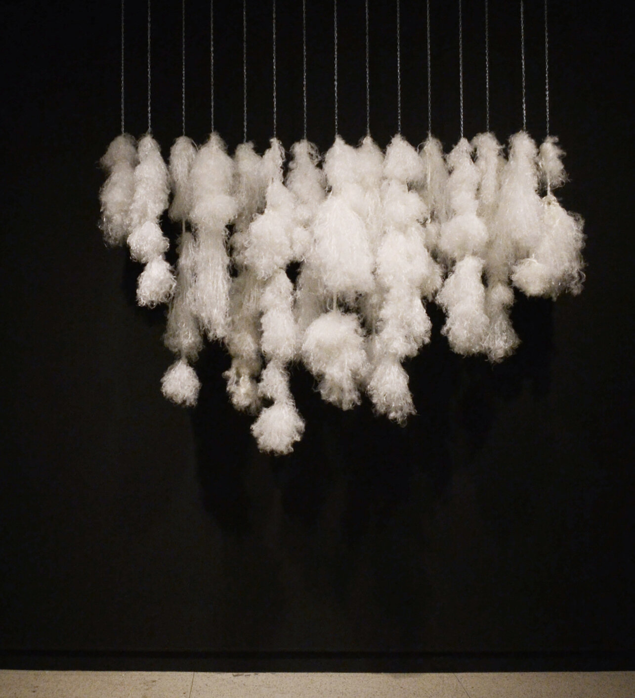 AFA10_A Visscher_Rope_Study_.jpg